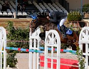 Minardi Gipsy Boy GioCav2013 S5 1961 : Campionati Italiani Giovani Cavalli, Cattolica, Gipsy Boy, Minardi Claudio, ph Stefano Secchi ©